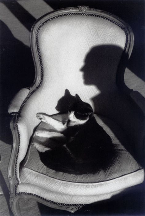 Cartier-Bresson, collection Szafran