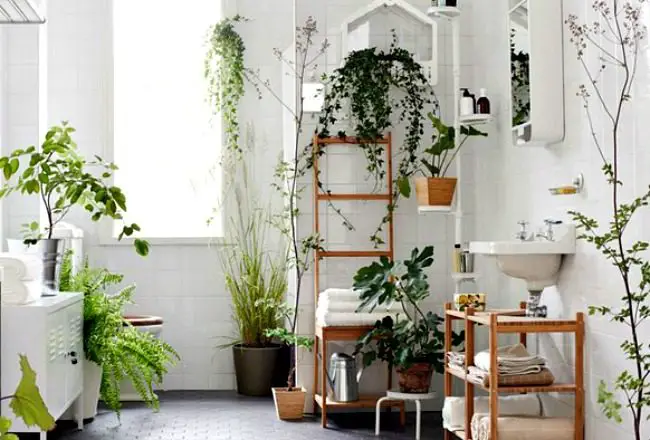 inspiration deco salle de bain plantes