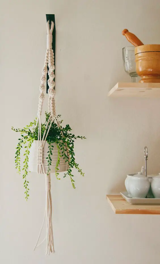 inspiration deco cuisine plante suspension