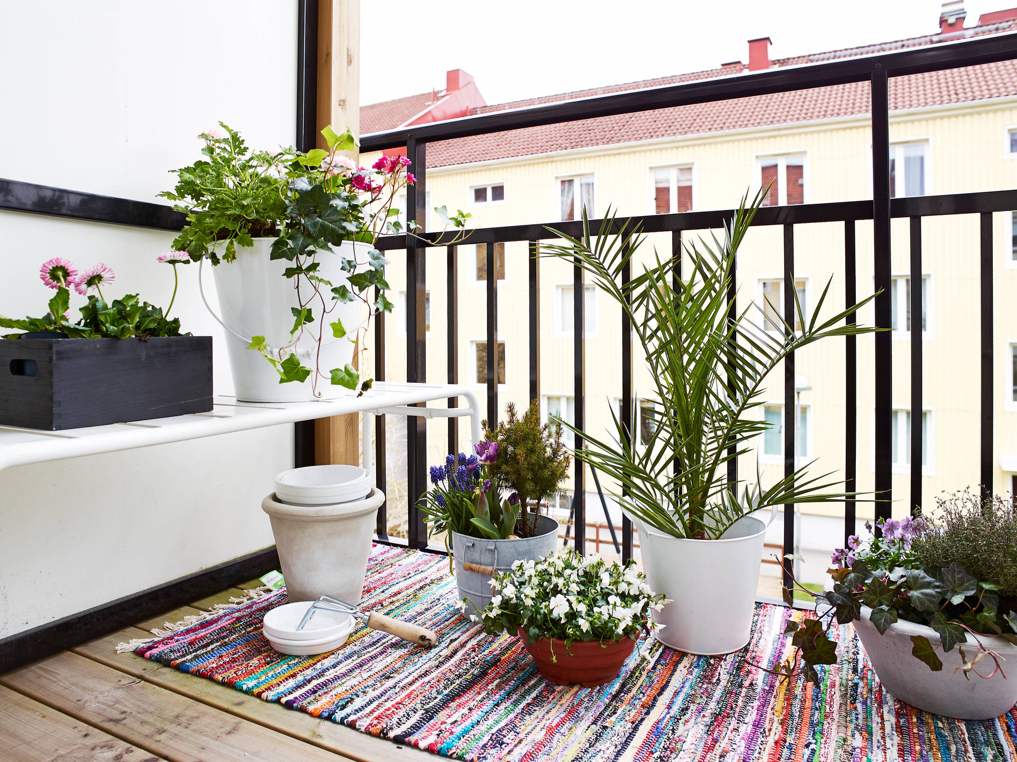 balcon deco plantes tapis