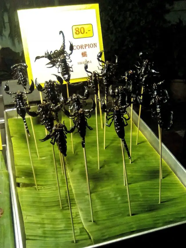 manger scorpion en thailande