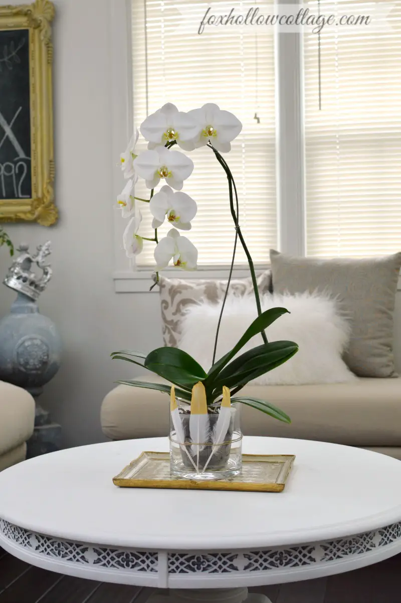 salon deco fleur plante orchidee