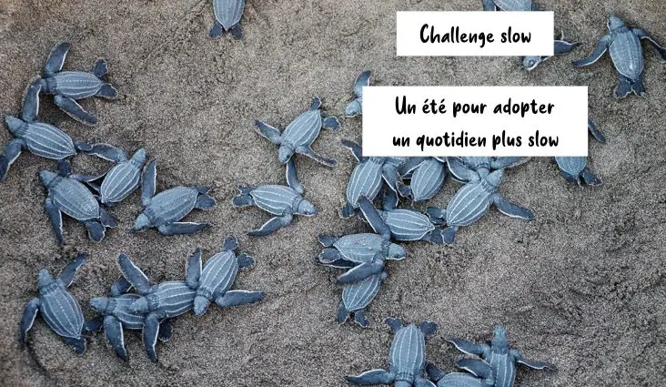challenge slow presentation