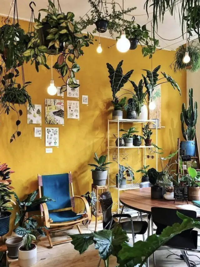salon decoration jaune et plantes