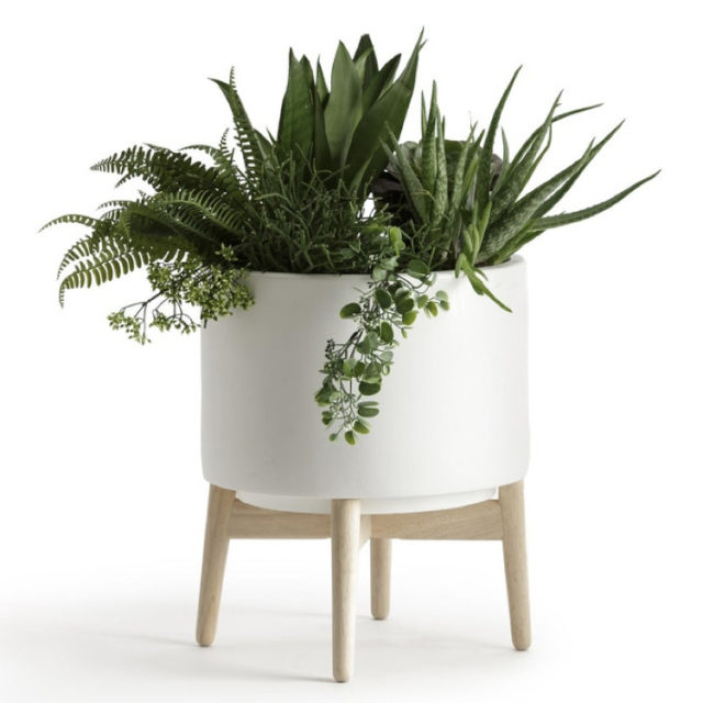 intérieur style nature cache-pot blanc  sur pied