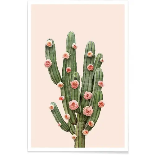 affiche deco cadeau à offrir cactus