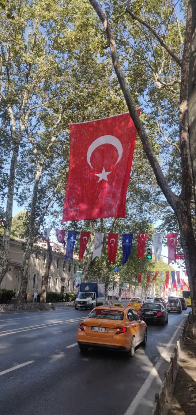 istanbul turquie nomade drapeau turc