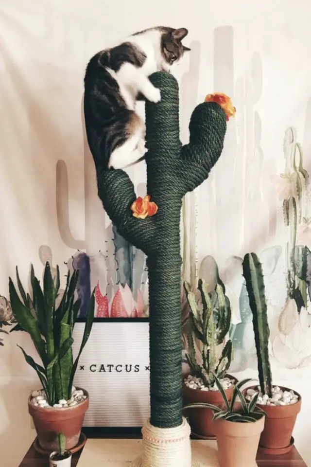des chats et de la déco plantes vertes arbre à chat en forme de cactus