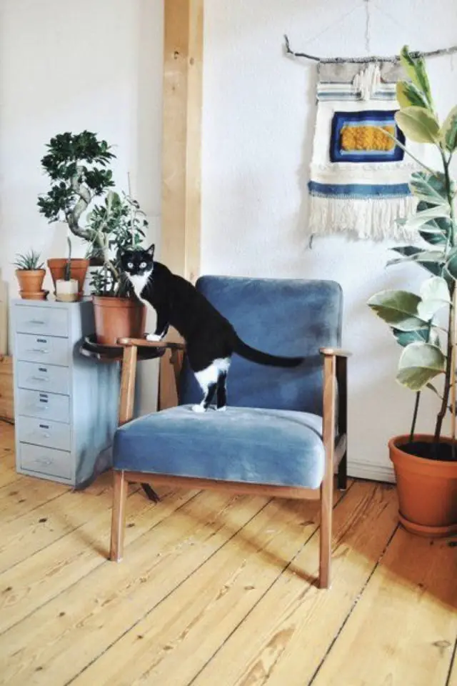 des chats et de la déco plantes vertes fauteuil style mid century