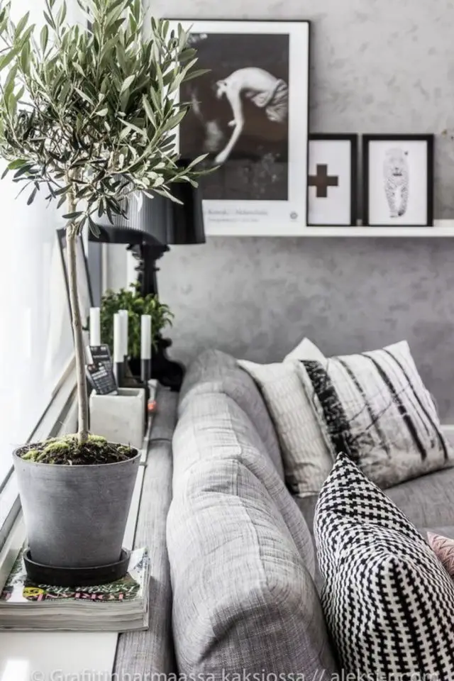salon moderne gris blanc plantes intérieures mur béton ciré ambiance moderne avec plantes