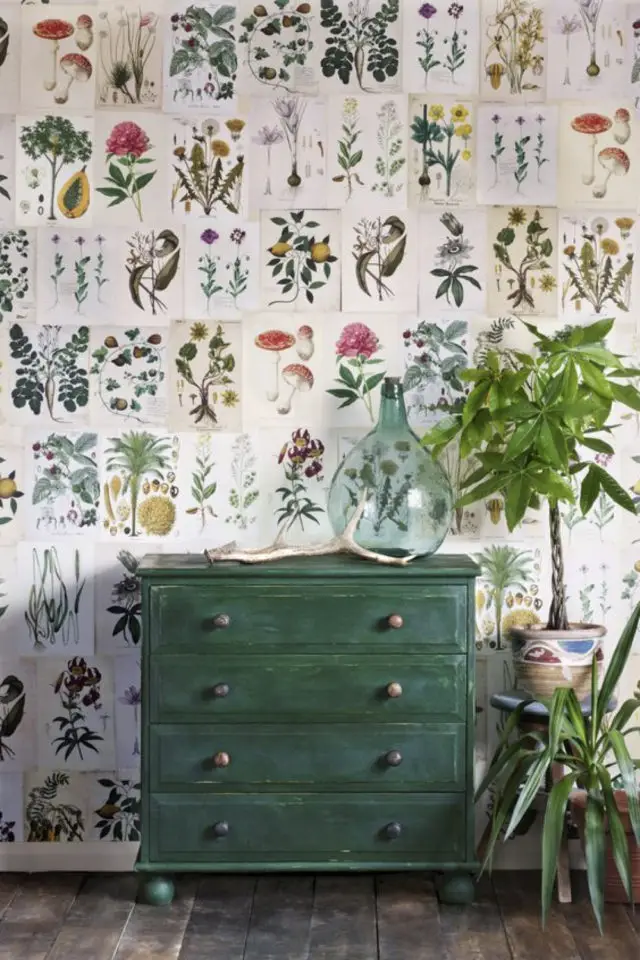 deco murale affiche poster exemple illustration plantes vertes herbier botanique commode peinte en vert 