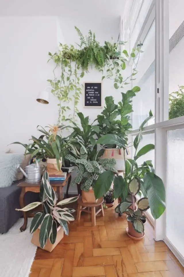 decoration reconfortante plantes interieures mise en scène effet jungle