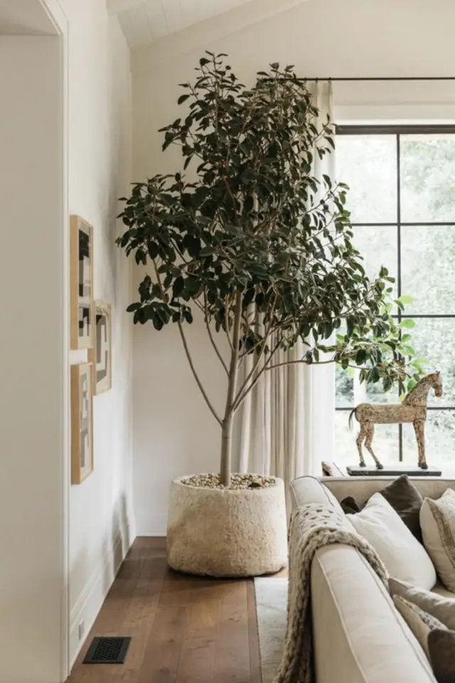 exemple interieur slow deco angle pièce salon séjour arbuste alterantive plante verte cache pot naturel