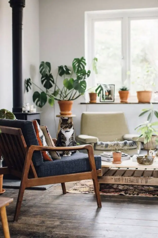 lifestyle chat deco fauteuil vintage mid century plantes vertes intérieur moderne et tendance