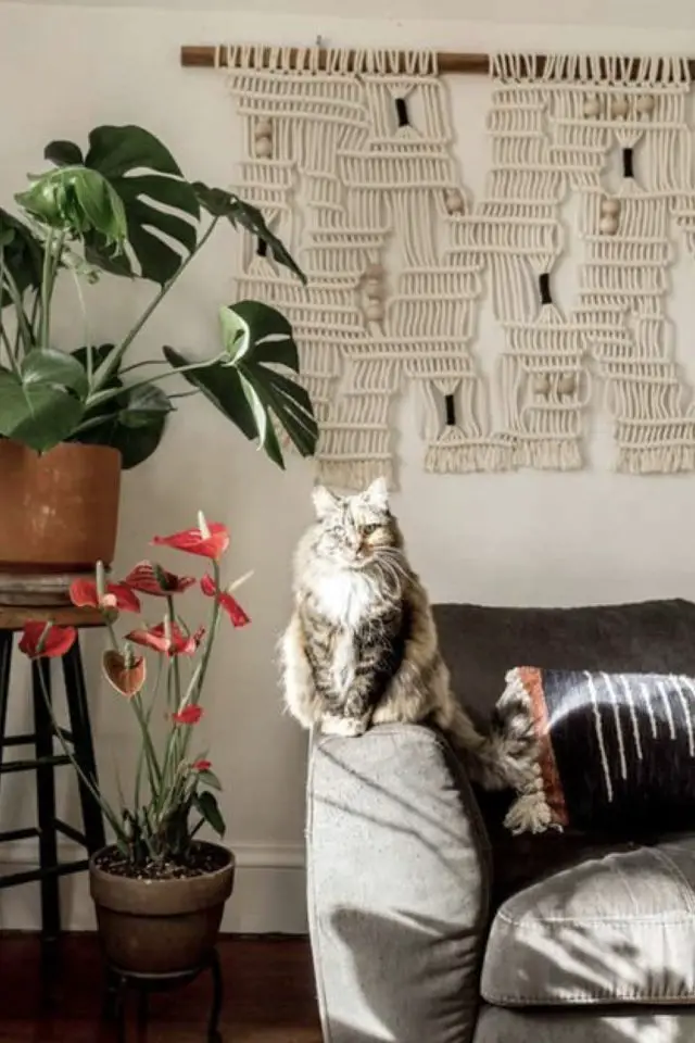 lifestyle chat deco fauteuil canapé accoudoir macramé mural plantes et fleurs exotiques 