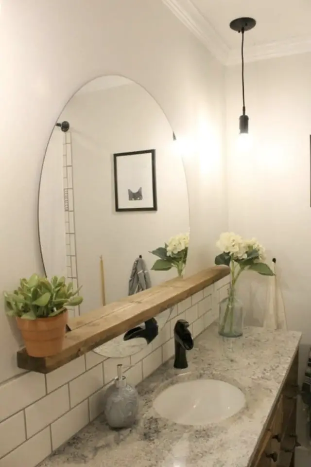 miroir effet diffusion lumiere salle de bain miroir avec étagère petite plante verte ambiance moderne