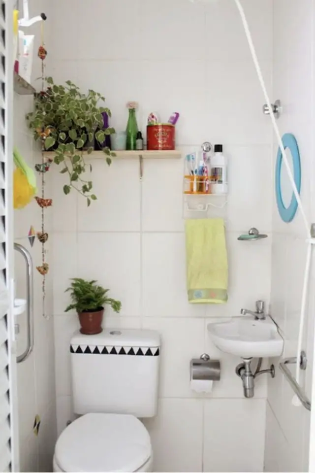petite salle de bain plantes vertes exemple toilette frais et jeune étagères plantes tombantes
