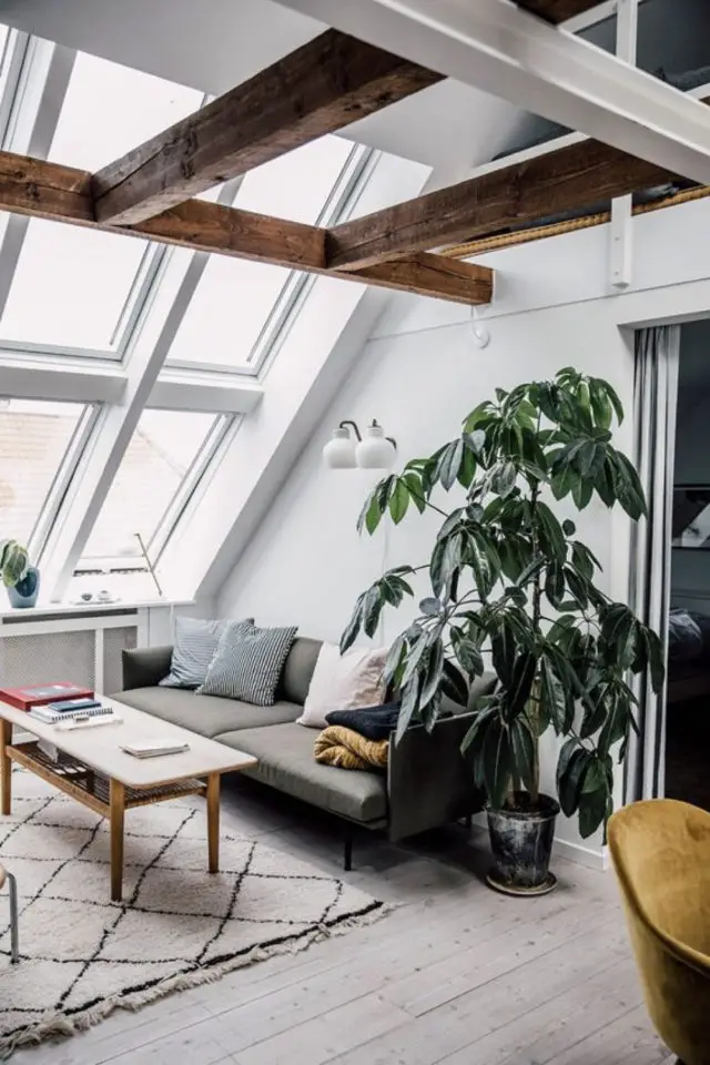 combles amenages salon modernes exemple grande fenêtre de toit lumière naturel canapé gris plantes vertes