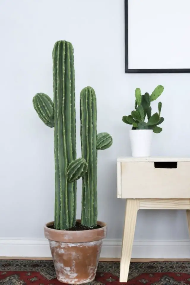 decoration interieure cactus exemple cactus meuble en bois clair pot terre cuite
