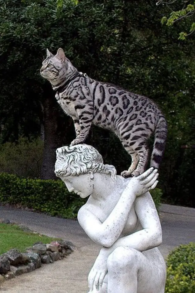 lifestyle chat deco statue spiritualite jardin grecque romain femme