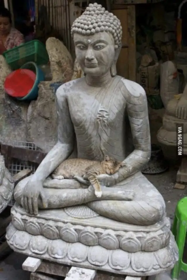 lifestyle chat deco statue spiritualite asie thailande laos nepal sri lanka