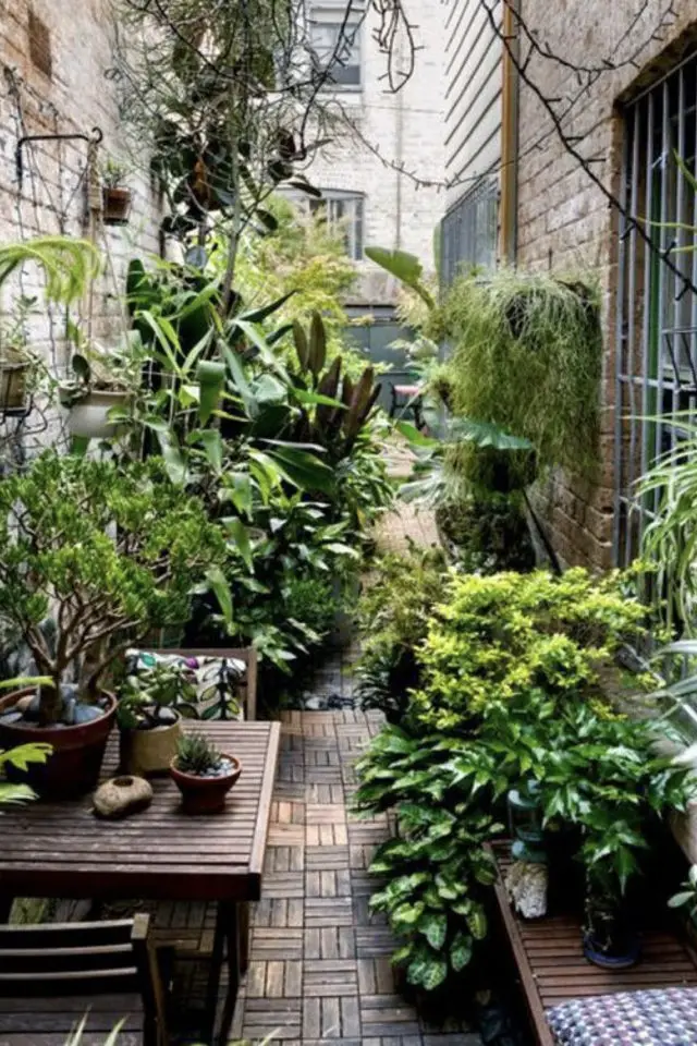 petit patio verdoyant plante exemple courette plantes extérieurs arbustes chaleureux cosy