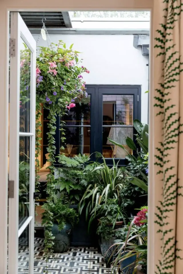 petit patio verdoyant plante exemple plantes extérieur bosquet fleur bonne humeur bon moral