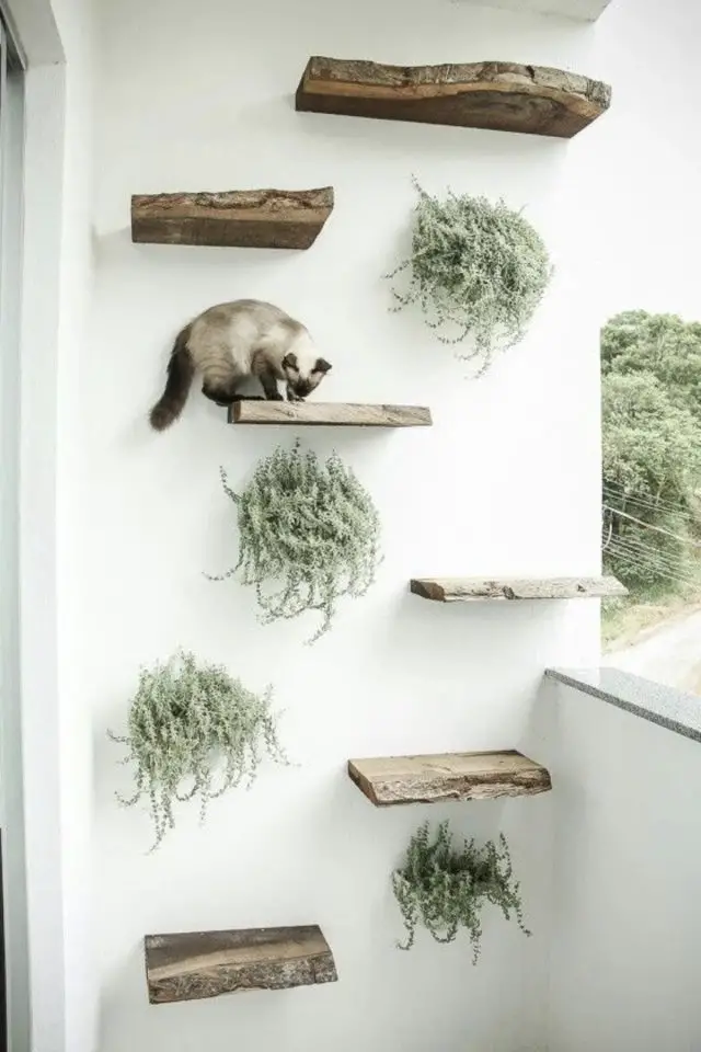 amenagement mural chat exemple balcon étagères plantes recup planche de bois