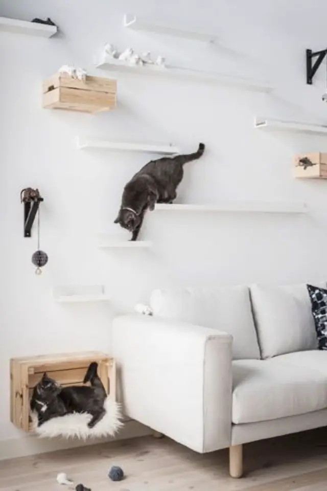 amenagement mural chat exemple au dessus du canapé salon séjour moderne étagères et jeux pour félins