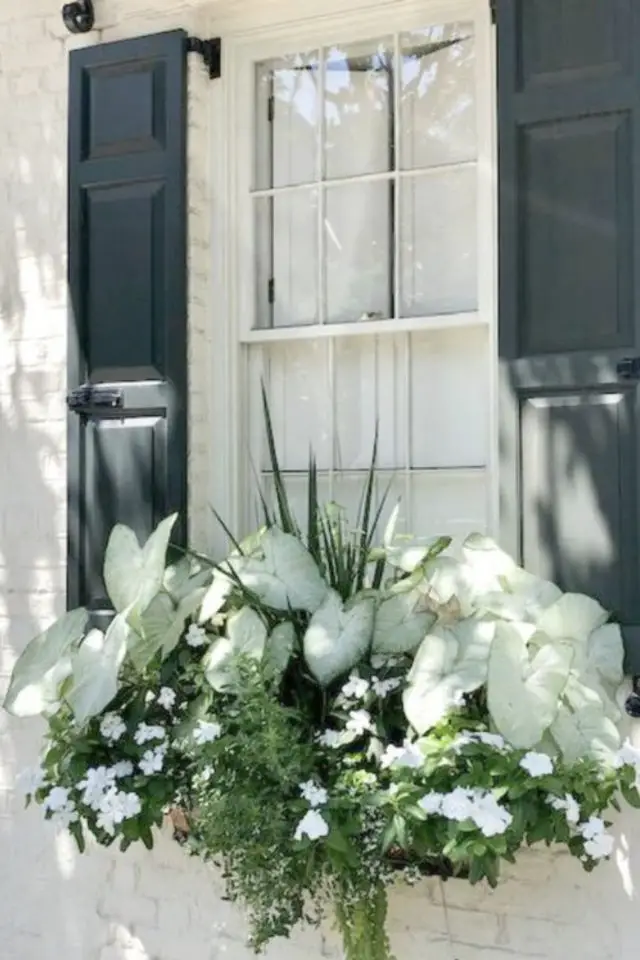 deco fenetre jardiniere plante fleur vert blanc élégant classique chic