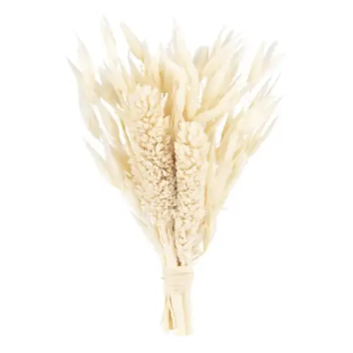 deco slow fleurs sechees pas cher style herbe de pampa beige écru