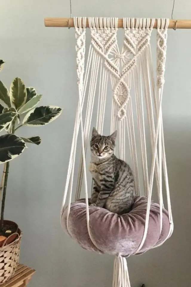 decoration interieure chat sieste suspension en macramé coussin en velours rose