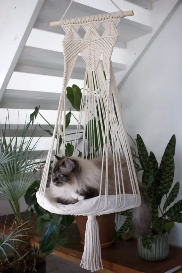 decoration interieure chat sieste suspension bohème macramé petit coussin