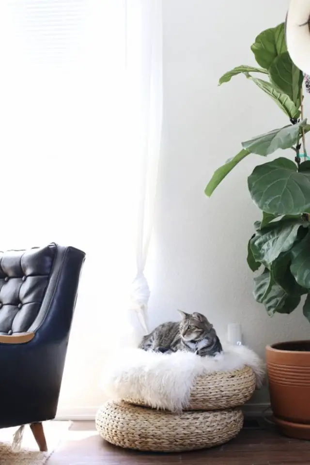 decoration interieure chat sieste pouf rond galette sol fourrure blanche salon séjour fenêtre