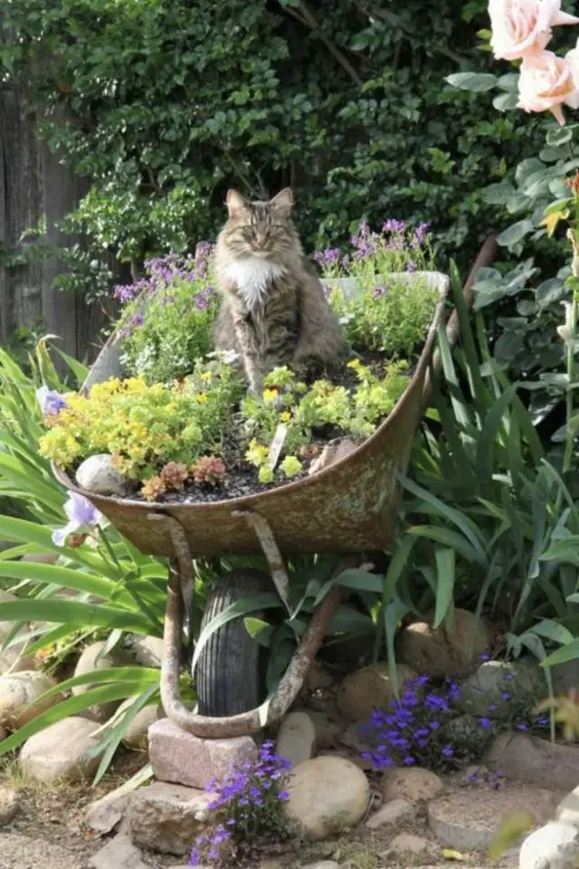 jardin chat perche lifestyle fleurs récup' brouette jardinière