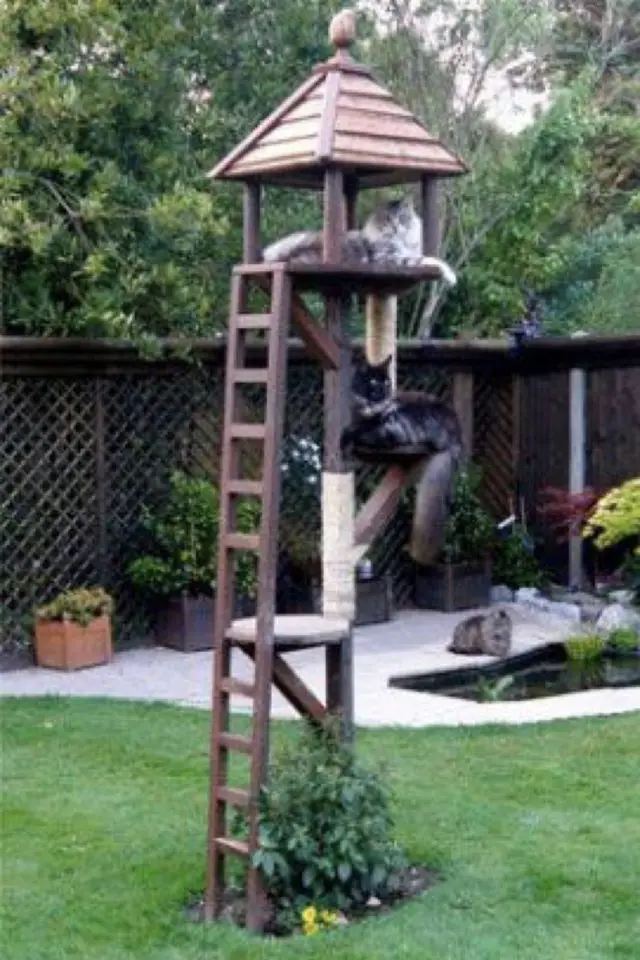 jardin chat perche lifestyle construction arbre à chat extérieur