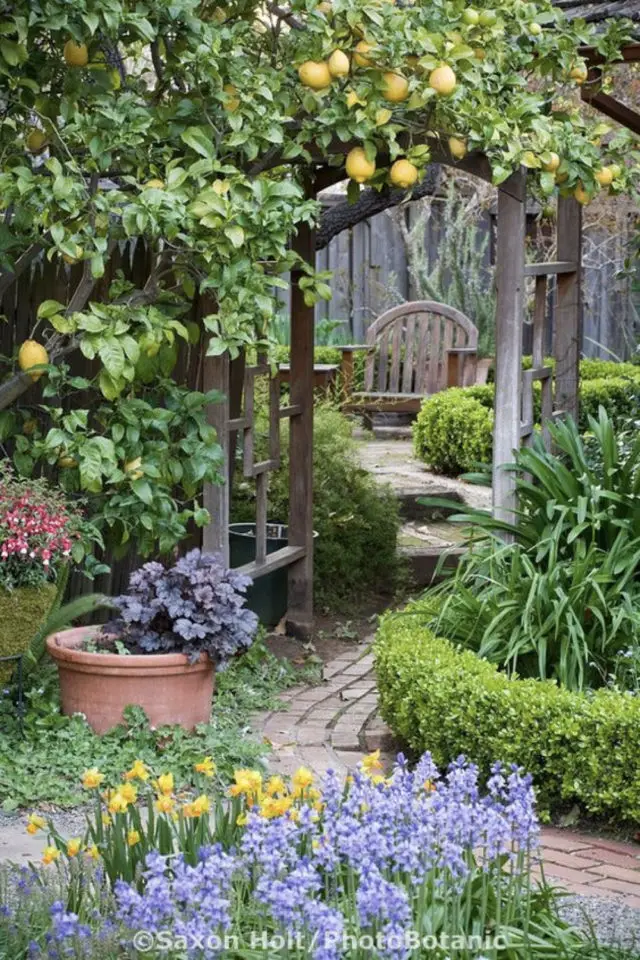 nature jardin detente banc pergola fleur calme bois simplicité romantique