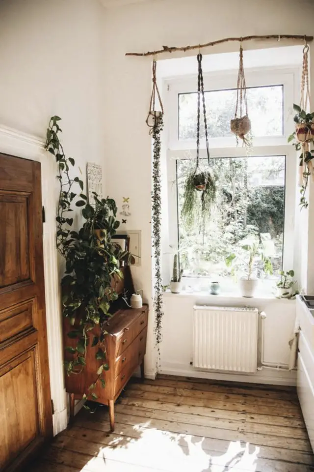 blanc bois plantes elegance decoration couloir fenêtre plantes suspendues commode ancienne