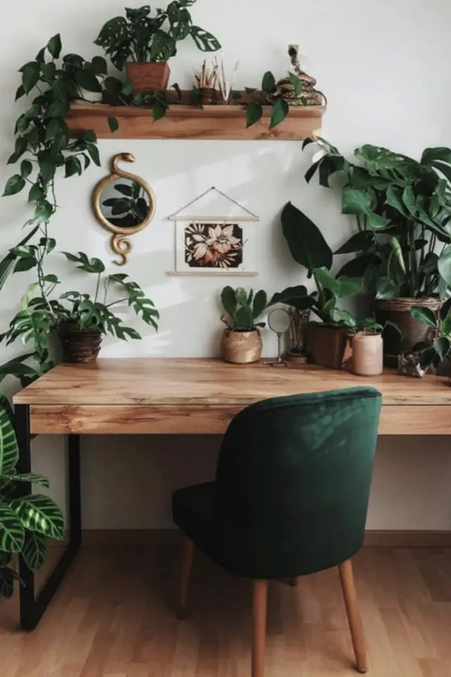 blanc bois plantes elegance decoration bureau moderne espace travail vert velours étagère