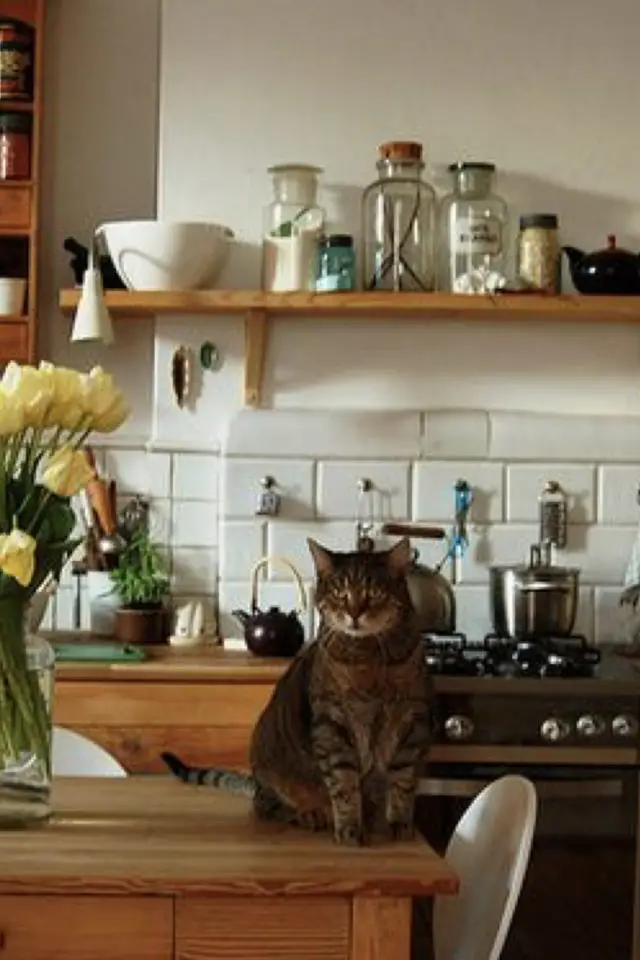 chat et cuisine deco exemple table en bois décor familial simple