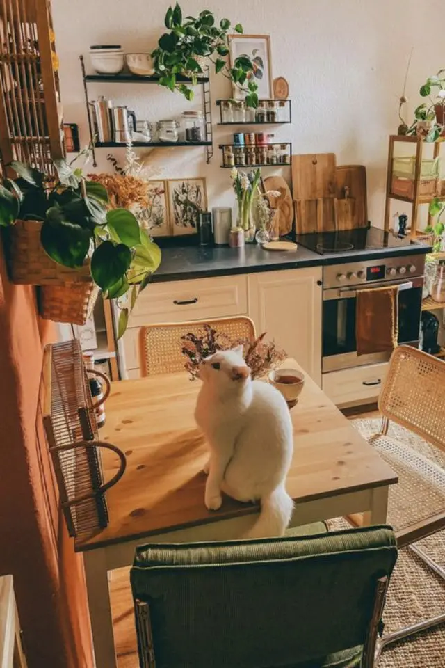 chat et cuisine deco exemple bois table chat blanc