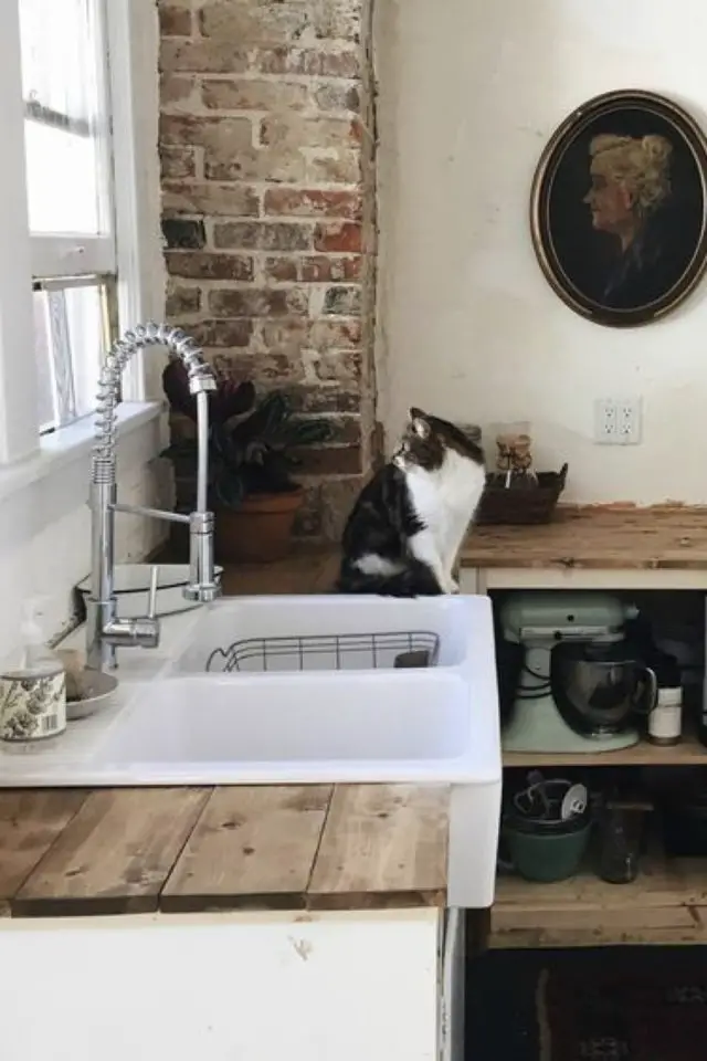 chat et cuisine deco exemple plan de travail bac évier