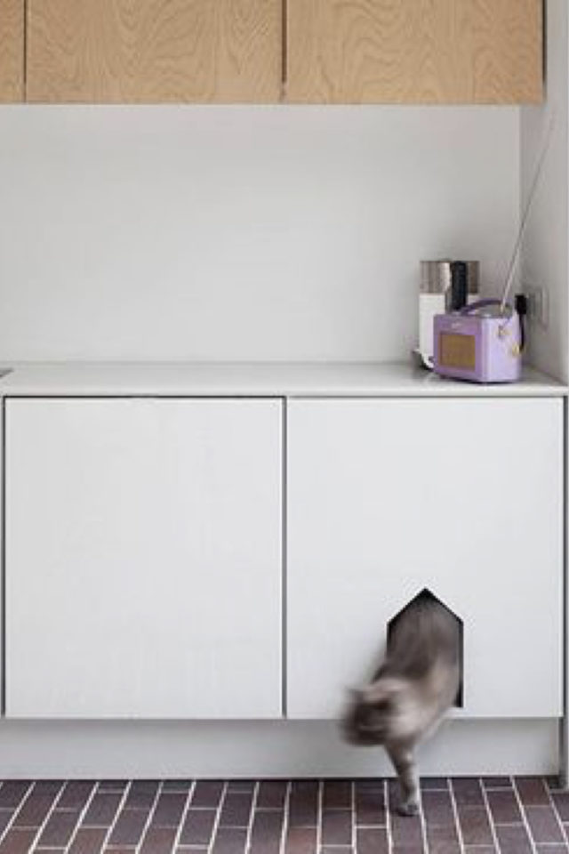 chat et cuisine deco exemple aménagement placard litière décoration cuisine moderne