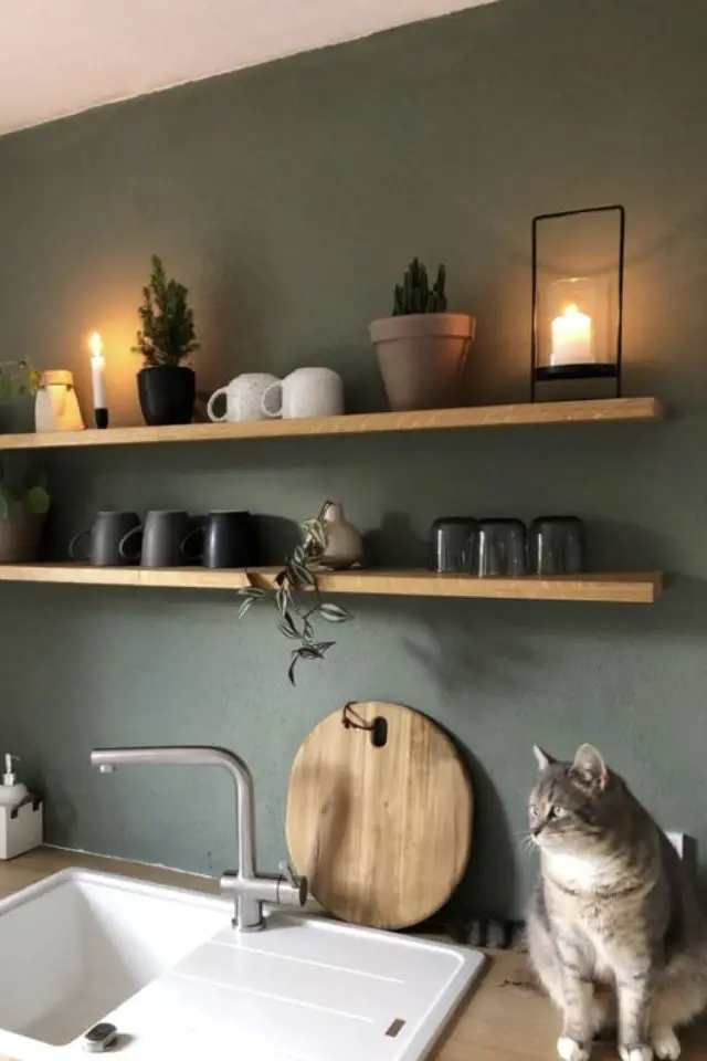 chat et cuisine deco exemple moderne peinture vert sauge étagère bois