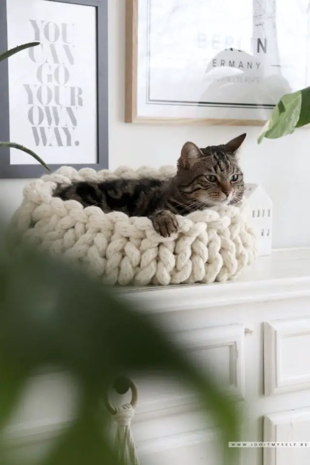 decoration chat panier exemple panier en laine crochet cosy