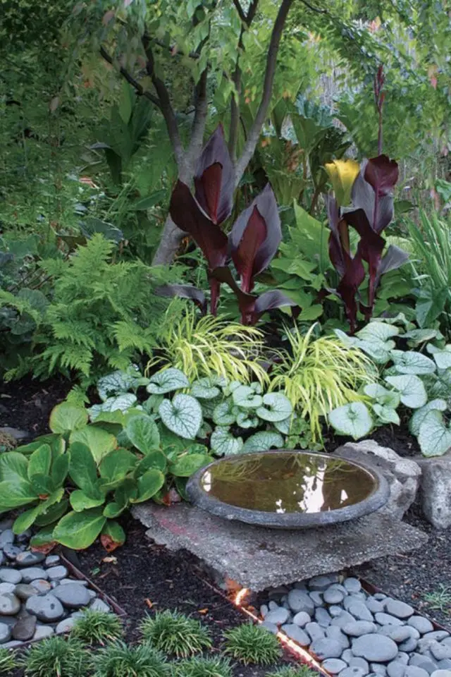 jardin zen mediation exemple végétation tropicale petit bassin