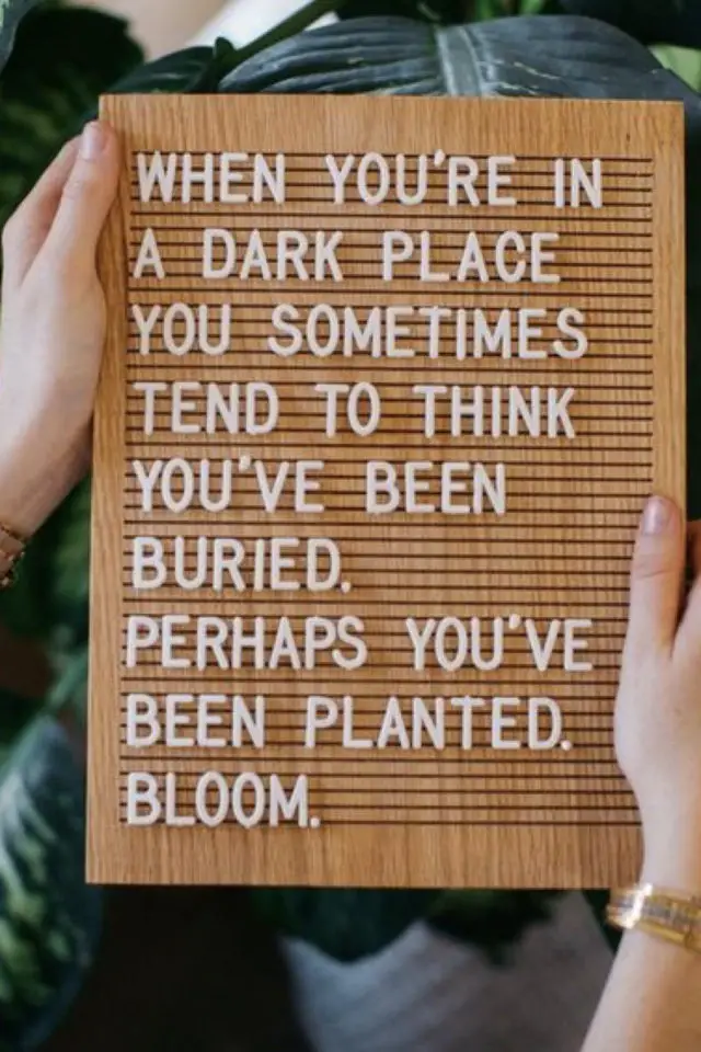message inspirant letterboard exemple citation plantes galères