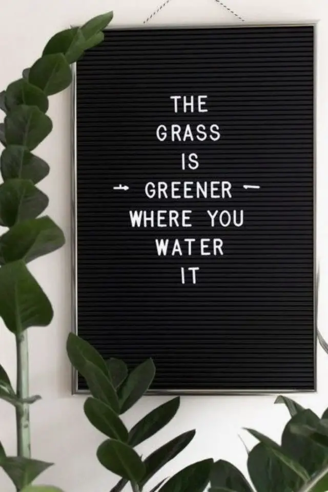 message inspirant letterboard exemple médiation herbe nature