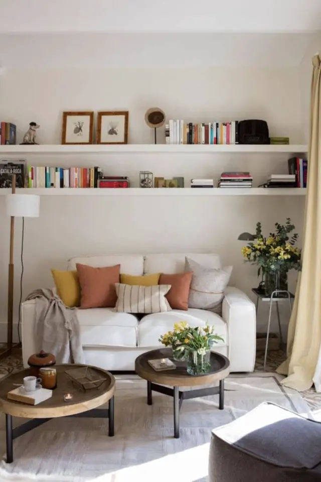 petit logement minimalisme exemple salon étagère dessus canapé rangement décoration