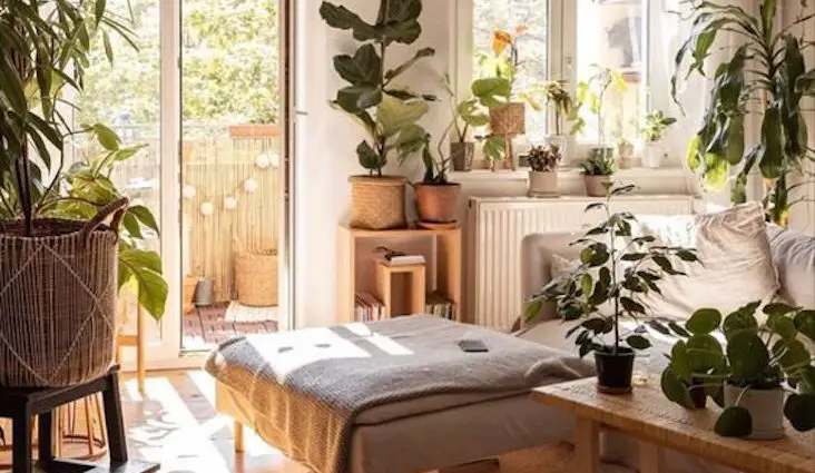 petit salon decoration plantes vertes lumière naturelle couleur neutre bois simplicité